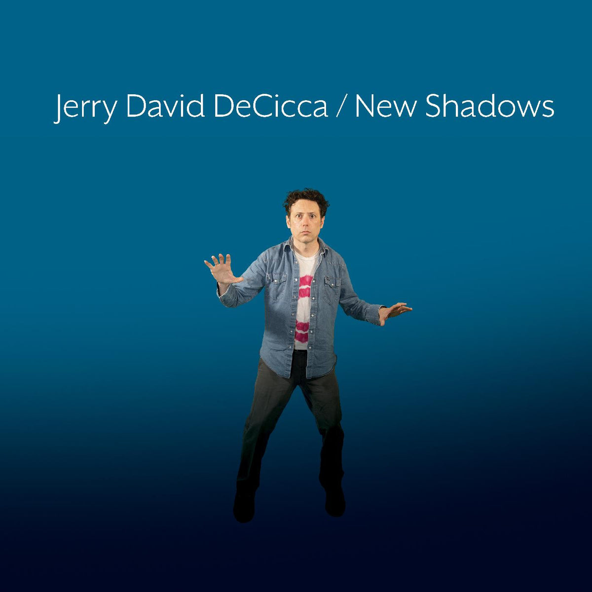 DECICCA, JERRY DAVID - NEW SHADOWS