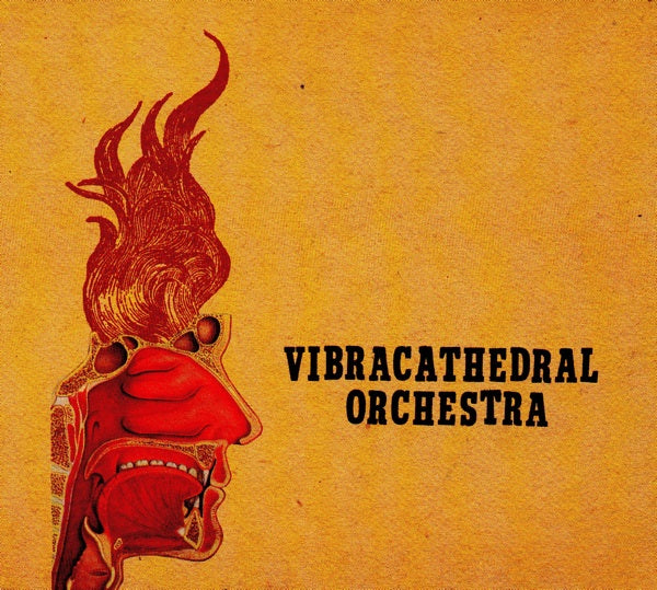 VIBRACATHEDRAL ORCHESTRA - WISDOM THUNDERBOLT
