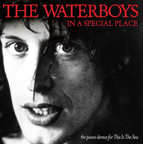 WATERBOYS - IN A SPECIAL PLACE
