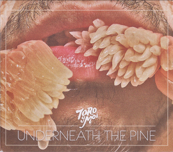 TORO Y MOI - UNDERNEATH THE PINE