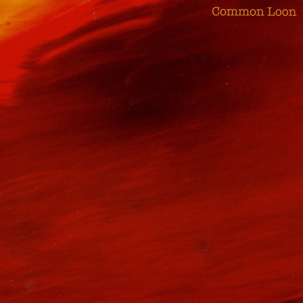 COMMON LOON - LONG DREAM OF BIRDS