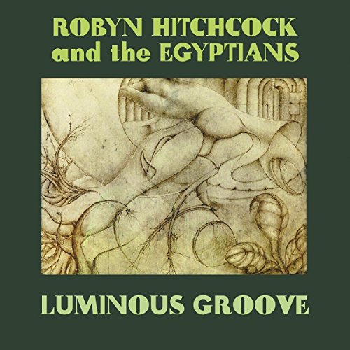 HITCHCOCK, ROBYN - LUMINOUS GROOVE (5CDS)
