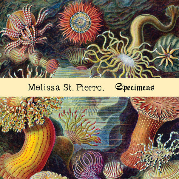 ST. PIERRE, MELISSA - SPECIMENS