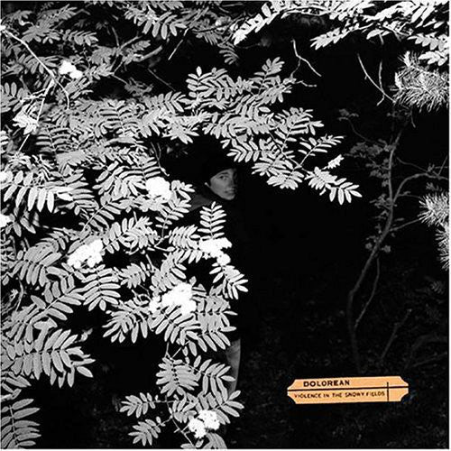 DOLOREAN - VIOLENCE IN THE SNOWY FIELDS
