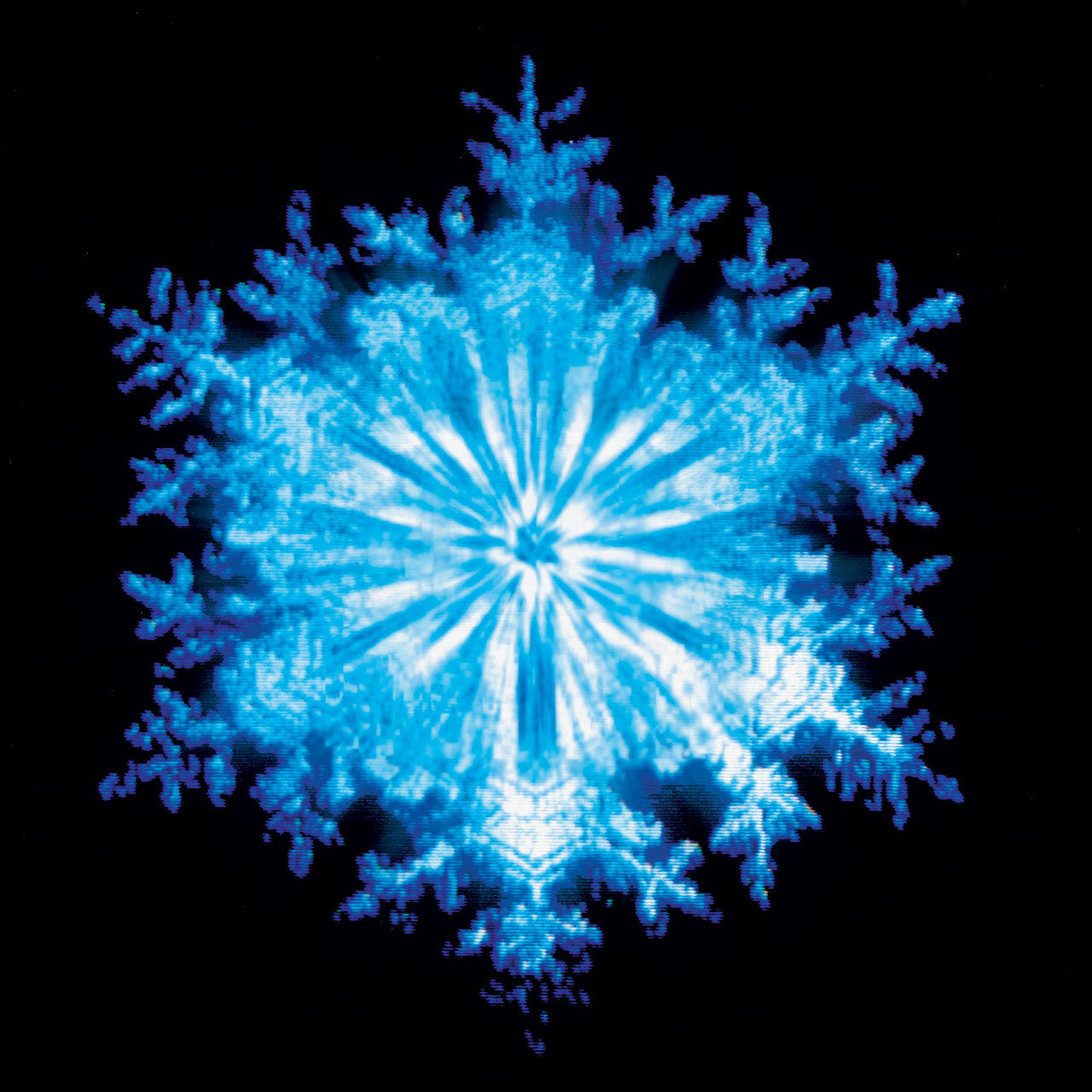 COIL - SNOW