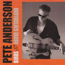 ANDERSON, PETE - BIRDS ABOVE GUITARLAND