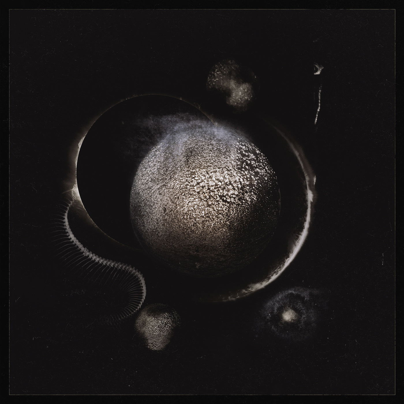 ENTHRONED - COLD BLACK SUNS