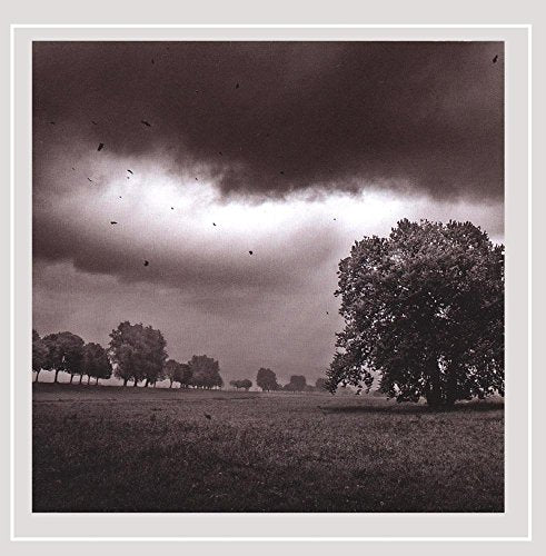 BRINGING DOWN BROADWAY - IT'S ALL GONE SOUTH (CD)