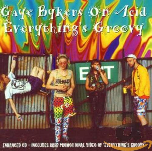 NEW GAYE BYKERS ON ACID - EVERYTHING'S GROOVY (CD) (CD)