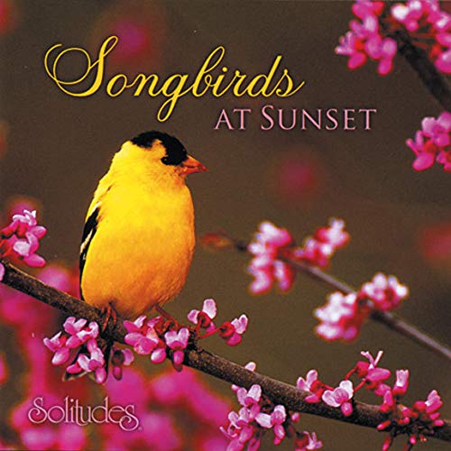 GIBSON, DAN - SOLITUDES: SONGBIRDS AT SUNSET
