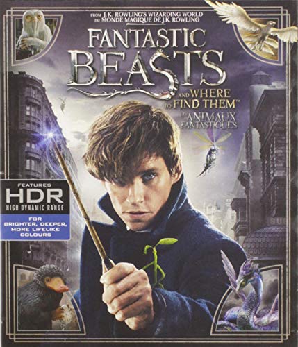 FANTASTIC BEASTS AND WHERE TO FIND (BILINGUAL/4K ULTRA HD/BD)