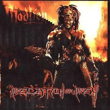 MAD LION  - PREDATAH OR PREY