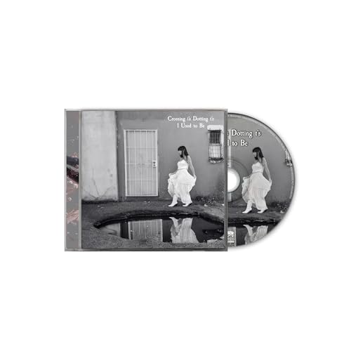 CROSSING I'S DOTTING T'S - I USED TO BE (CD)