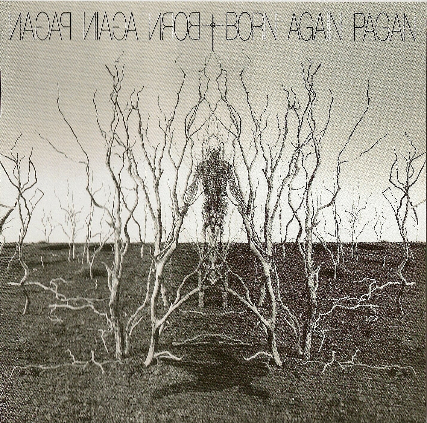 BORN AGAIN  - PAGAN