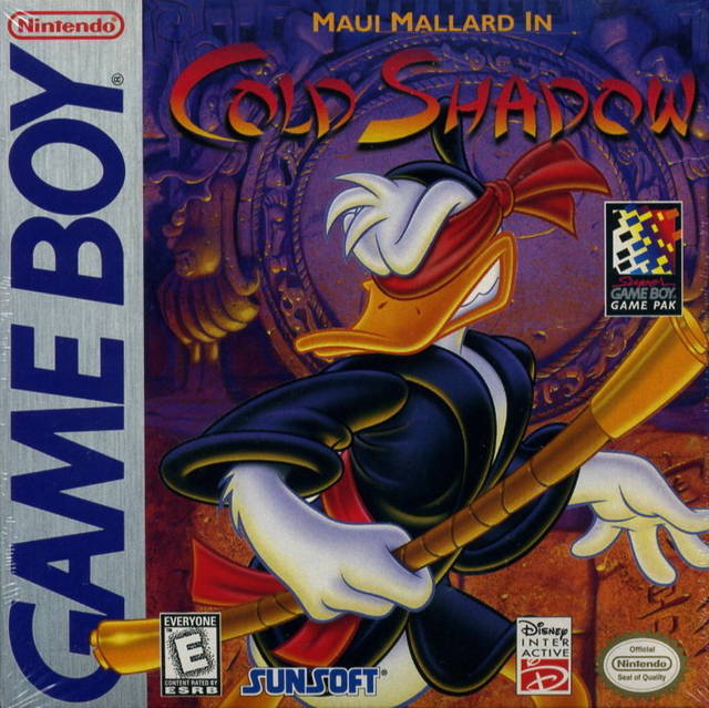 MAUI MALLARD IN COLD SHADOW  - GB1