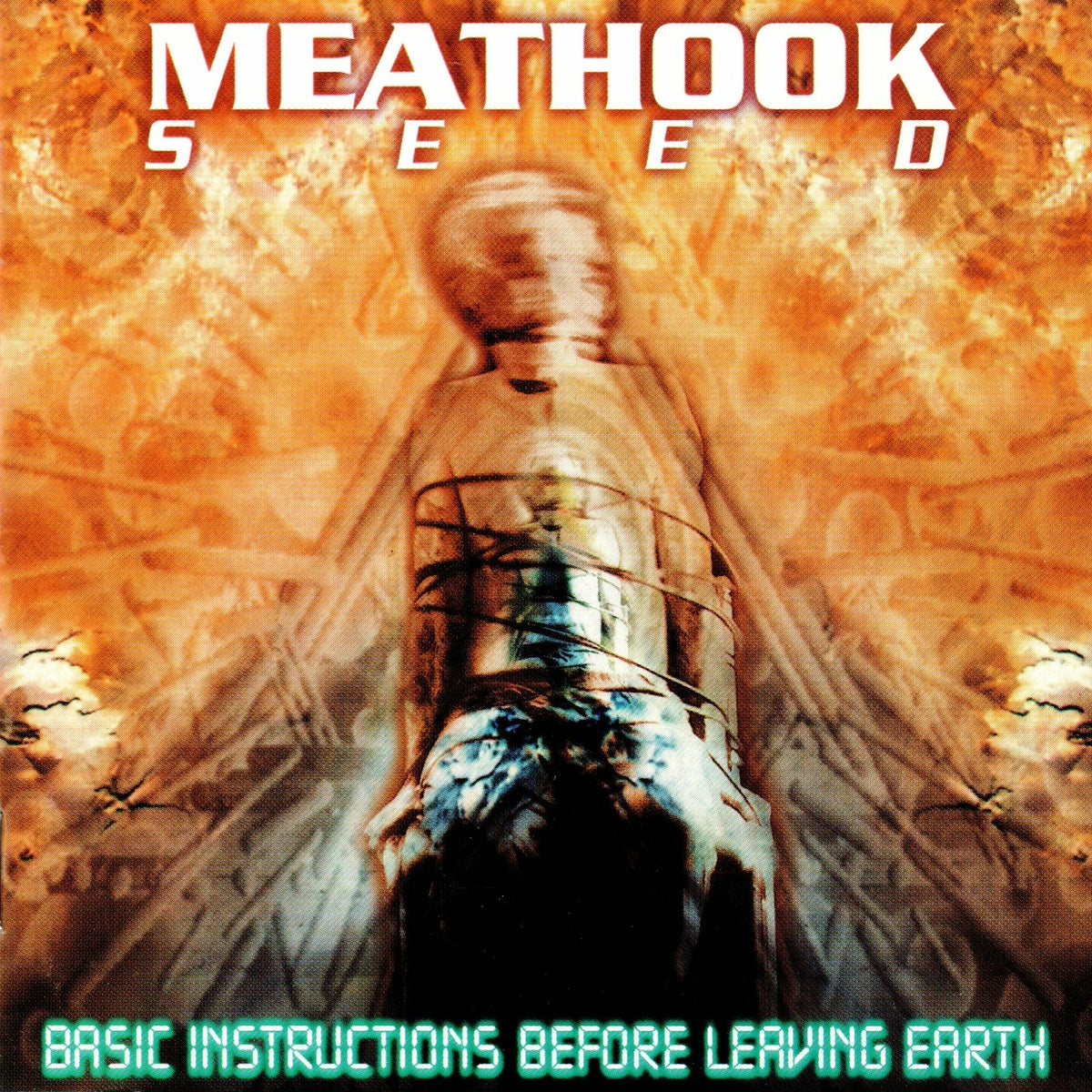 MEATHOOK SEED  - BASIC INSTRUCTIONS BEFORE LEAVING EARTH