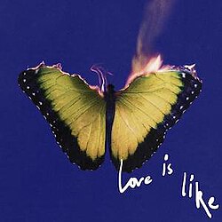 MAROON 5  - LOVE IS LIKE