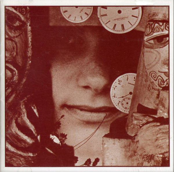 FRIEDMAN, RUTHANN  - A HURRIED LIFE