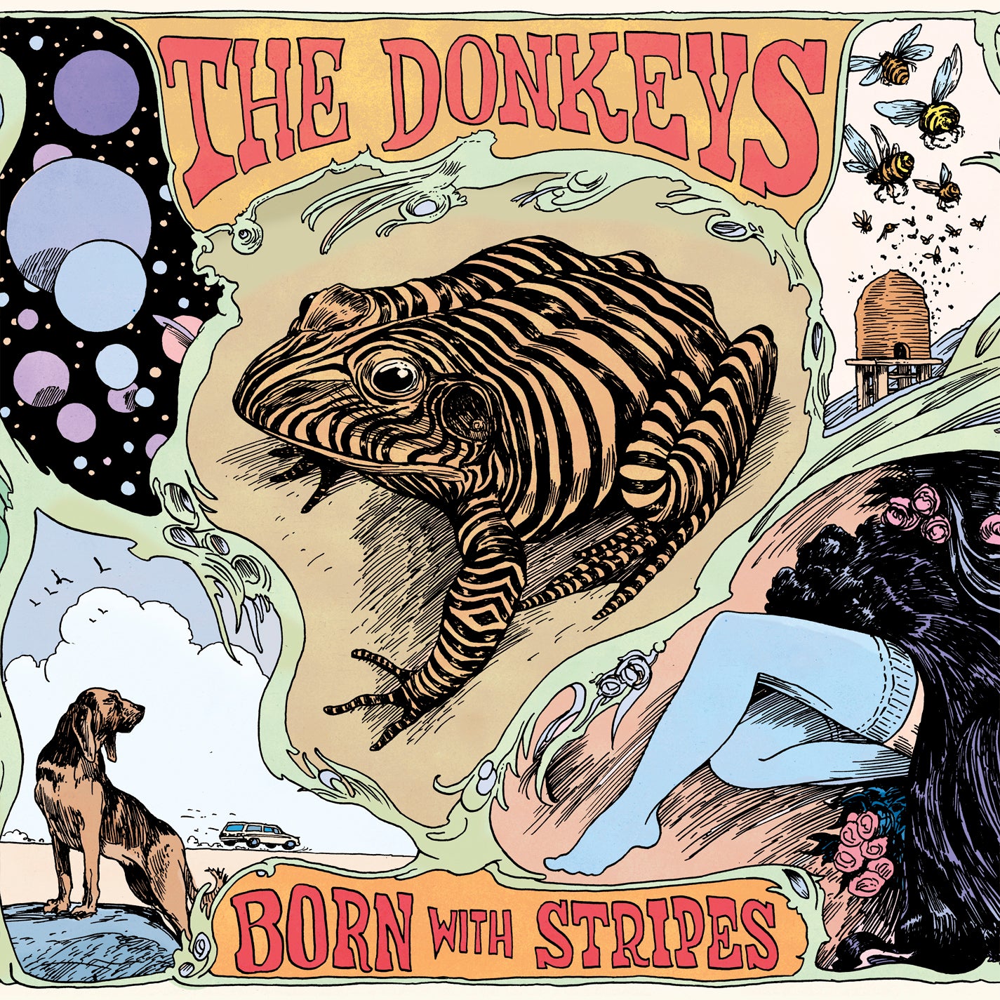 DONKEYS  - BORN WITH STRIPES