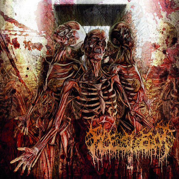 FLESHROT  - TRAUMATIC RECONFIGURATION