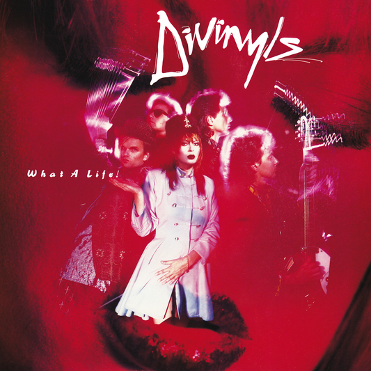 DIVINYLS  - WHAT A LIFE
