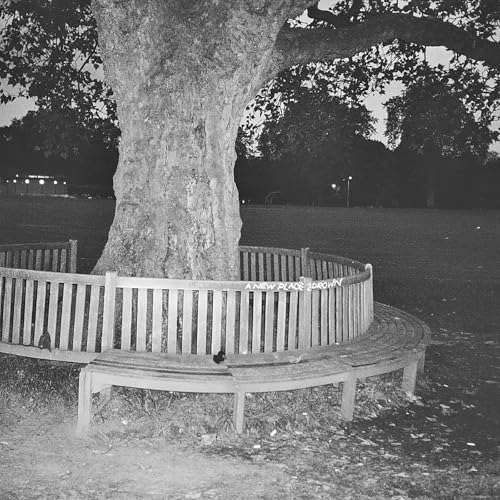 ARCHY MARSHALL - A NEW PLACE 2 DROWN (INSTRUMENTALS) (VINYL)