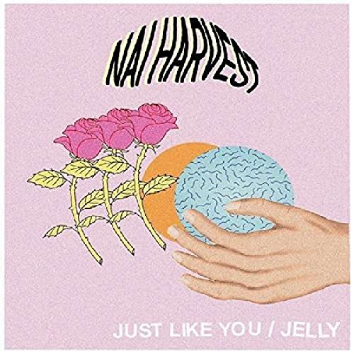 NAI HARVEST - JUST LIKE YOU (VINYL)