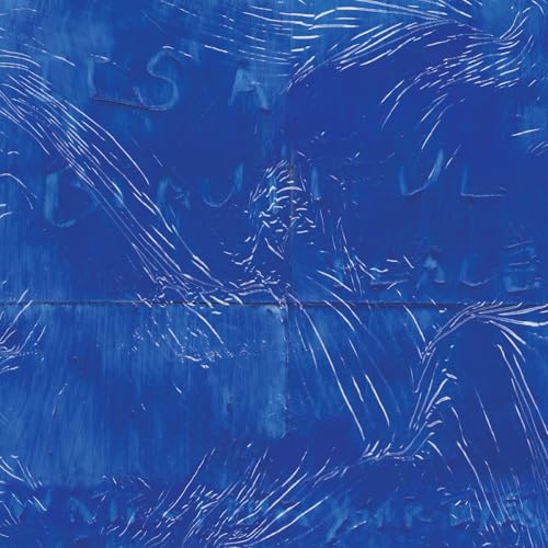 WATER FROM YOUR EYES - IT'S A BEAUTIFUL PLACE (VINYL)