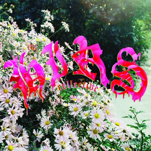 HIRS COLLECTIVE - WE'RE STILL HERE (VINYL)