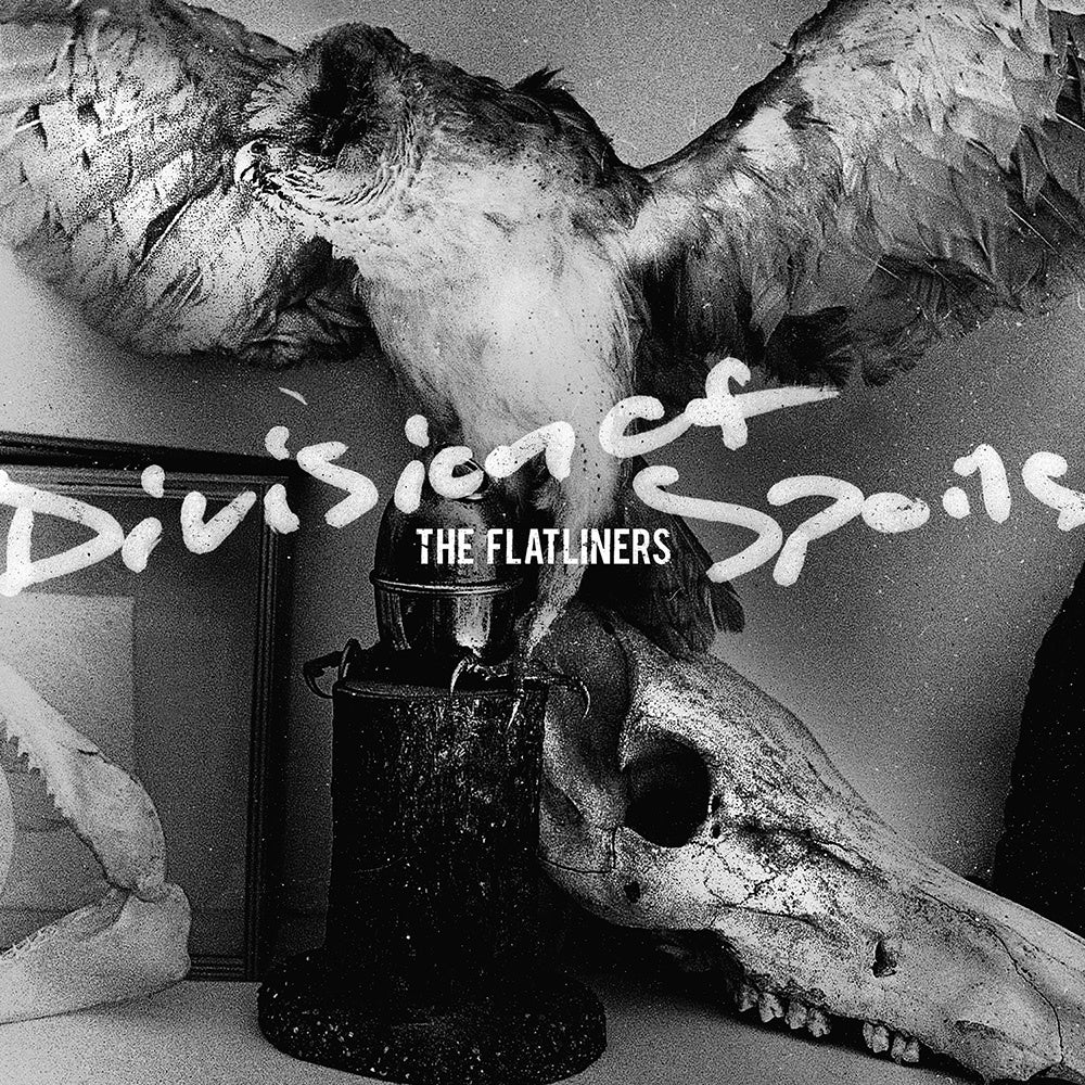 FLATLINERS  - DIVISION OF SPOILS