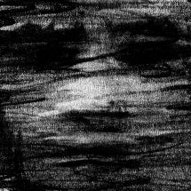 BORN ERASED - BIRDS DRINK MY BLOOD [CD]