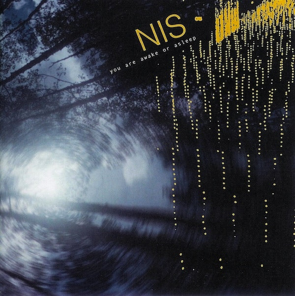 NEW IDEA SOCIETY  - YOU ARE AWAKE OR ASLEEP