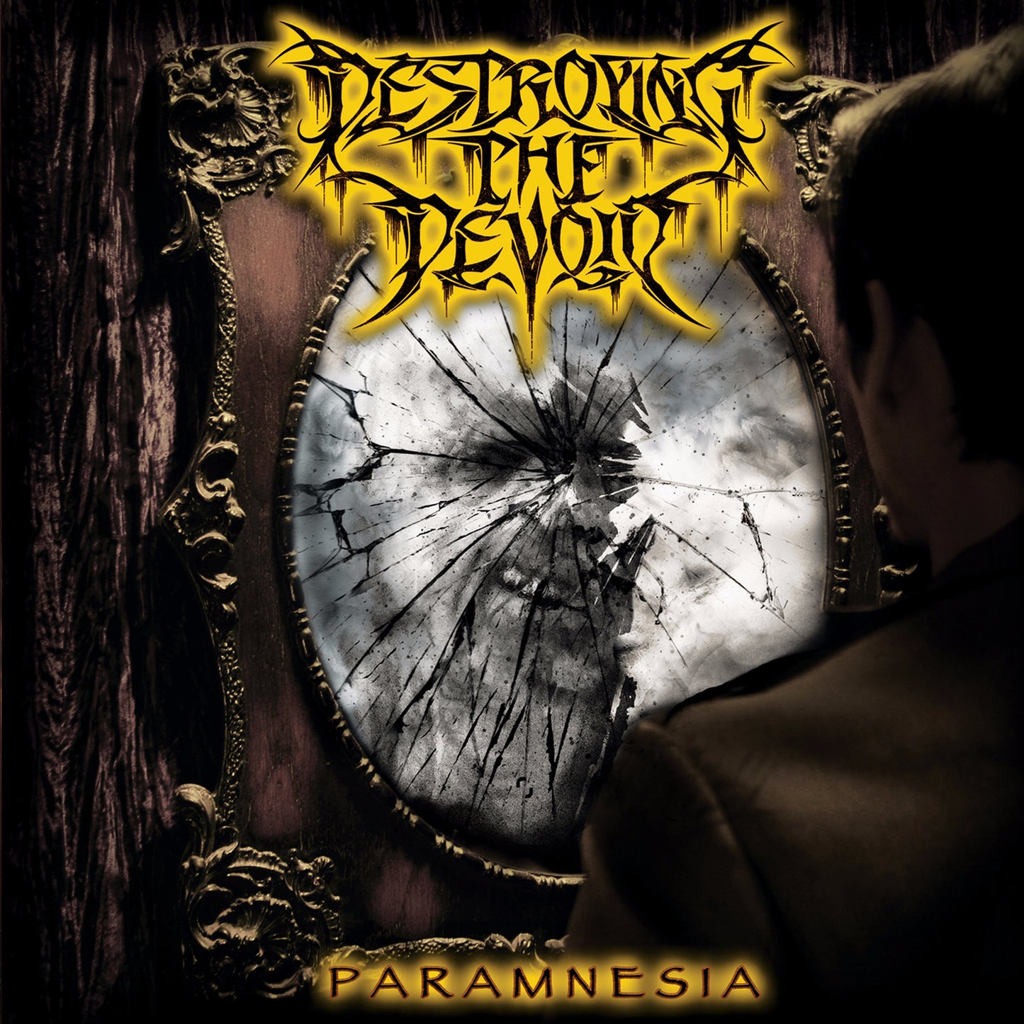 DESTROYING THE DEVOID  - PARAMNESIA