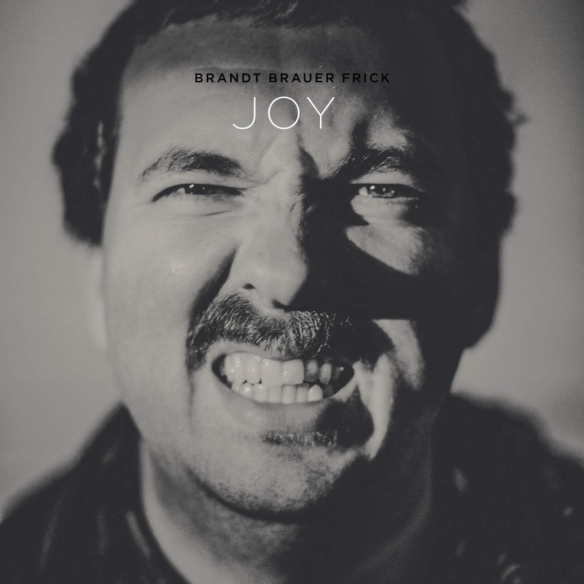 BRANDT BRAUER FRICK  - JOY