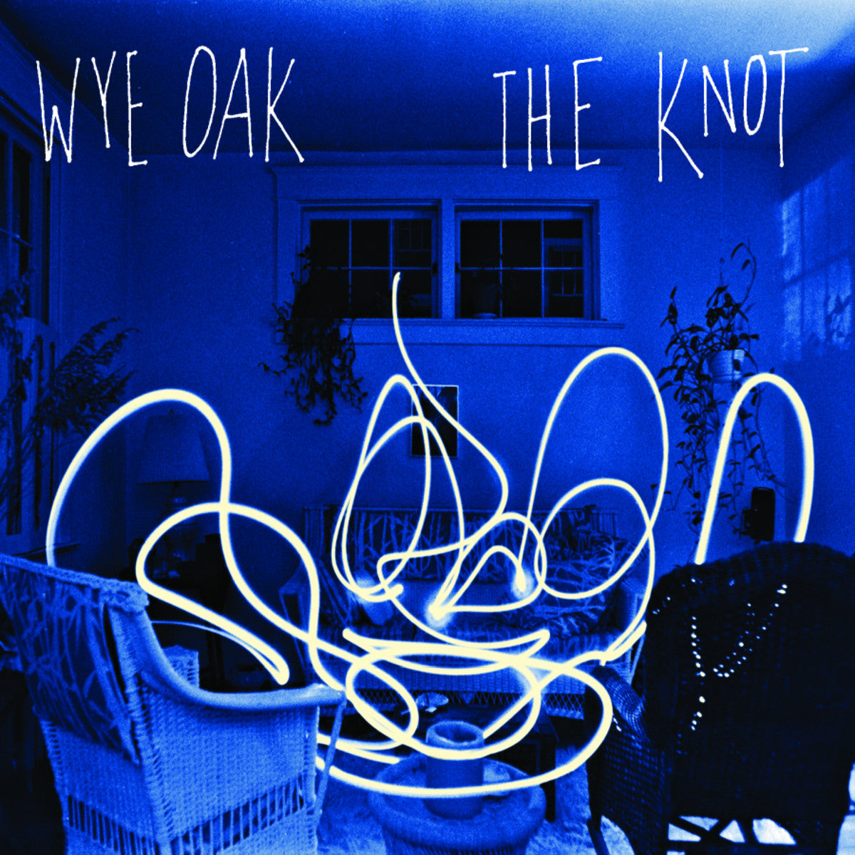 WYE OAK  - KNOT