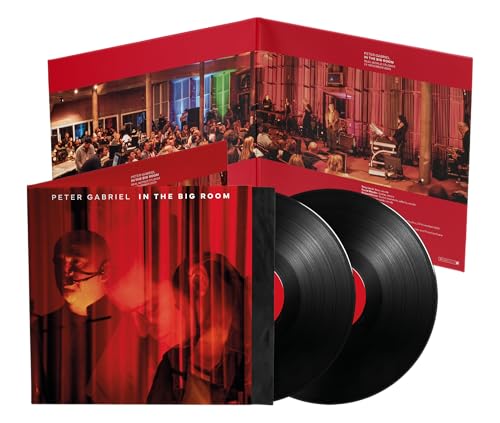 PETER GABRIEL - IN THE BIG ROOM (VINYL)