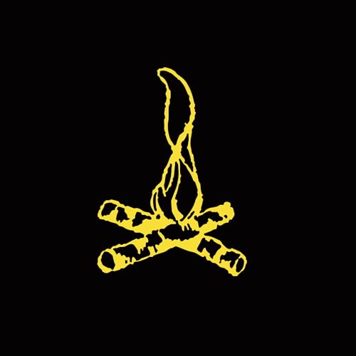 FRANK TURNER - CAMPFIRE PUNKROCK 20 (BLACK VINYL)