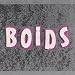 BOIDS - BOIDS (VINYL)