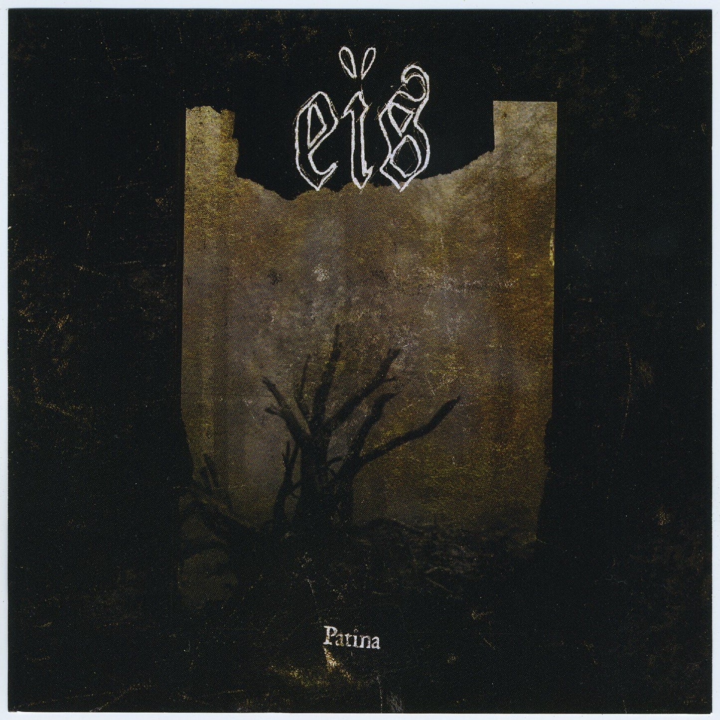 EIS  - PATINA
