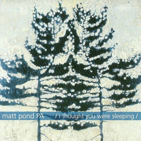 MATT POND PA  - I THOUGHT YOU WERE SLEEPING
