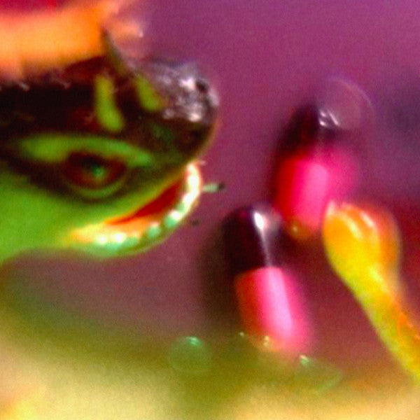 BUSH TETRAS  - TAKE THE FALL