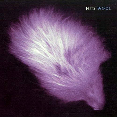 NITS  - WOOL