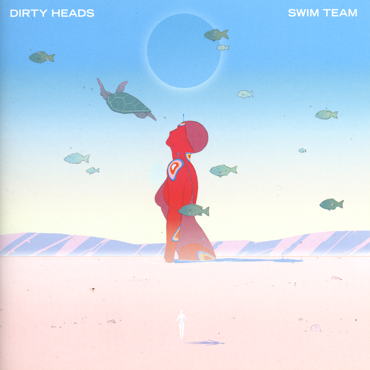 DIRTY HEADS  - SWIM TEAM