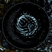 STONUS - SPACE TO DIVE (BLACK VINYL) [LP]