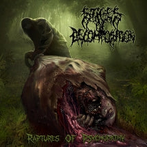 STAGES OF DECOMPOSITION - RAPTURES OF PSYCHOPATHY [CD]
