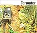 TARWATER  - ANIMALS SUNS & ATOMS