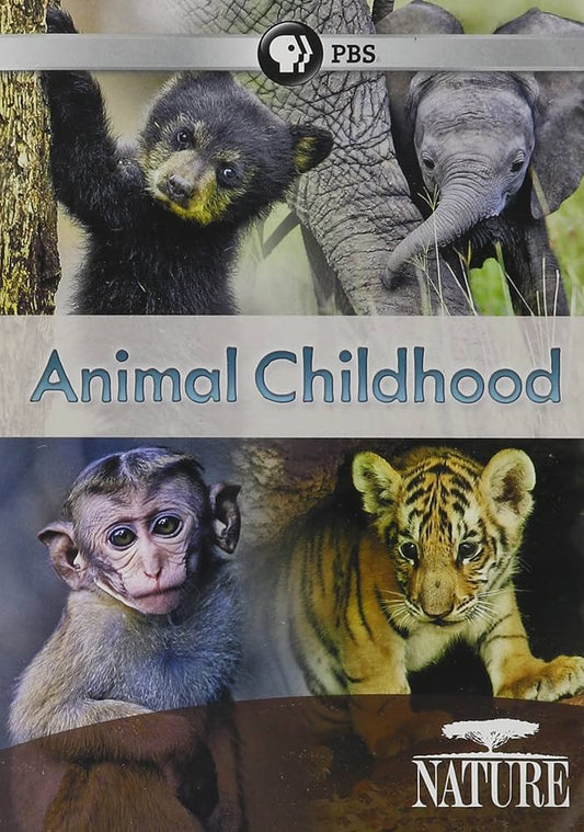 ANIMAL CHILDHOOD  - DVD-NATURE (PBS)