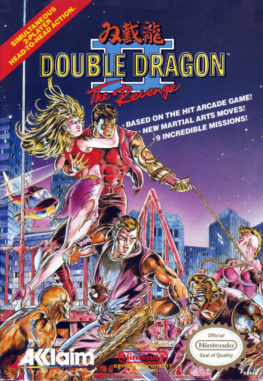 DOUBLE DRAGON III: THE ARCADE GAME  - NES (W/BOX)