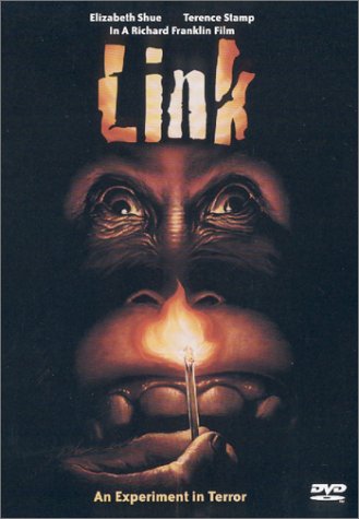 LINK (WIDESCREEN)