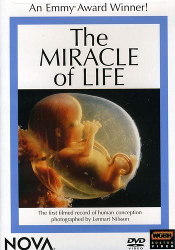 THE MIRACLE OF LIFE